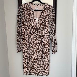 Longsleeve Chiffon Sleeve Dress
